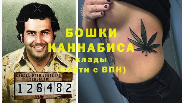 сатива Абаза